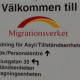 Över 20.000 gömmer sig illegalt i Sverige